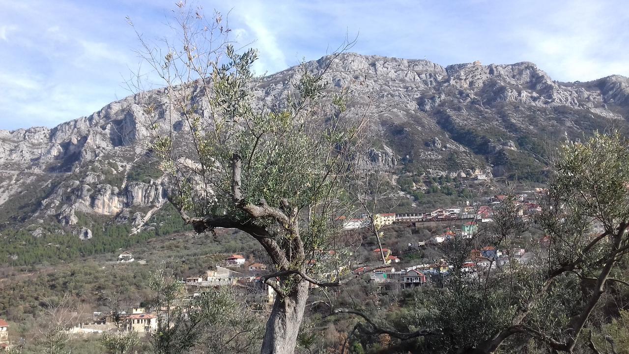 Kruja Hostel Экстерьер фото