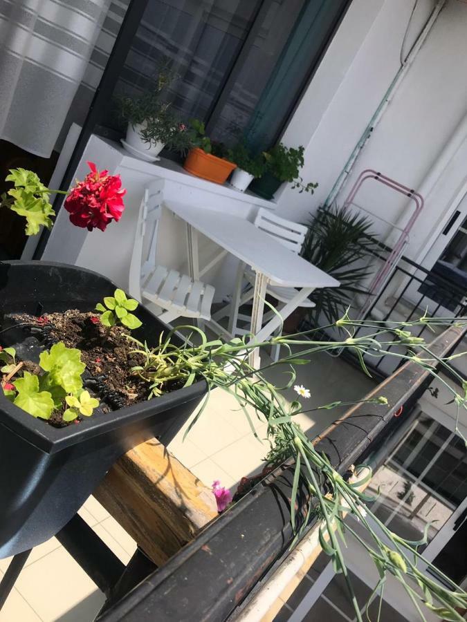Kruja Hostel Экстерьер фото